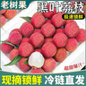 四叔公果蔬黑葉荔枝【順豐冷鏈-多地次日達】新鮮入庫水果凍眠中秋節(jié)禮盒 頭茬鮮選果｜單果15g+ 凈3斤（實惠嘗鮮）較劃算 曬單實拍圖