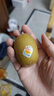 佳沛（zespri）新西蘭 陽光金果12粒單果約122-146g 獼猴桃 中秋水果禮盒 曬單實拍圖