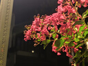 旁氏（POND'S）米粹潤澤保濕潔面乳150g 氨基酸洗面奶男女去角質(zhì) 七夕節(jié)送禮 曬單實拍圖