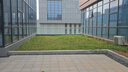 TOMSPOWER充電式綠籬機(jī)電動(dòng)修剪機(jī)托馬斯園林綠化剪茶葉背負(fù)式茶樹修粗枝機(jī) 雙刃24V重修款+20A(8.5小時(shí)) 曬單實(shí)拍圖
