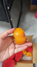 奢蔻（Cercoo）教師節禮物滄海丁香發(fā)夾子頭飾后腦勺橫夾頭飾發(fā)飾高級感送長(cháng)輩女 曬單實(shí)拍圖