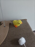 貓玩具逗幼貓小貓仿真逗貓毛絨發(fā)條小雞貓貓用品自嗨貓咪解悶神器 逗貓小雞顏色隨機(jī)混發(fā)3個(gè) 曬單實(shí)拍圖