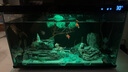 畫(huà)法幾何魚(yú)缸增氧泵小米米家智能魚(yú)缸專(zhuān)用1.5W靜聽(tīng)系列 家用氧氣泵 曬單實(shí)拍圖
