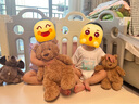 JELLYCAT專柜正品jellycat巴塞羅熊玩偶浴袍熊草莓熊南瓜熊毛絨玩具代購 巴塞羅熊-28cm（贈送防塵袋） 曬單實拍圖