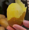 佳沛（zespri）佳沛奇異果新西蘭進(jìn)口陽(yáng)光金果【JD順豐-送貨上門(mén)】黃心獼猴桃 【禮盒】10顆 大果約90-110g 曬單實(shí)拍圖