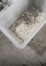 羚木切菜機(jī)商用食堂廚房蔬菜切絲切片機(jī) 不銹鋼全自動(dòng)切菜機(jī) 土豆蘿卜藕片多功能切菜機(jī) 80型切片\切丁\切絲 曬單實(shí)拍圖