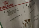 皇家狗糧 成犬狗糧 犬糧 寵物小型犬 PR27 全價犬糧≥10月2KG 曬單實拍圖