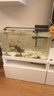森森 超白玻璃小型熱彎水草魚缸HRK-600套缸+過濾器+水草燈 曬單實(shí)拍圖