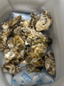 生蠔山東大生蠔鮮活牡蠣肉質(zhì)肥美凈重5斤原產(chǎn)地直發(fā)到家 5斤L(fēng)【約45-50個】小個嘗鮮版 曬單實拍圖