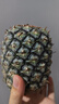 特價金鉆鳳梨新鮮大果菠蘿整箱水果風(fēng)梨手撕現(xiàn)貨直發(fā)脆甜多汁鳳梨 1個裝小果 單果400g起 曬單實拍圖