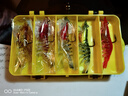 刃釣多節蝦包鉛蝦路亞餌大對蝦假蝦軟餌淡水海釣海鱸鲅魚(yú)石斑鱖魚(yú)翹嘴 大號9cm12g(混色5個(gè)裝)送盒 曬單實(shí)拍圖