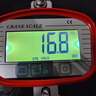永力衡60kg1/300數(shù)顯推拉力計(jì)1噸N光伏拉拔力測(cè)試儀500公斤電子測(cè)力計(jì)測(cè) 小款電池款300kg（約等于3000N） 曬單實(shí)拍圖