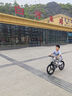 飛鴿兒童自行車(chē)6-8-10-12歲青少年自行車(chē)學(xué)生12到18歲變速山地自行車(chē) 變速+一體輪+月光銀+98%已安裝 20寸【適合身高130cm-155cm】 曬單實(shí)拍圖