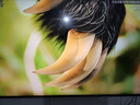 索尼（SONY）2025新品 X90L升級(jí)款 75英寸 索尼電視5系 MiniLED XR芯片 K-75XR50 一級(jí)能效 國(guó)家補(bǔ)貼 曬單實(shí)拍圖