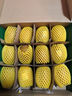 佳沛（zespri）新西蘭 陽光金奇異果12粒禮盒特大果單果約122-146g 獼猴桃 水果 曬單實拍圖