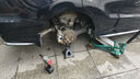 米其林（MICHELIN）汽車輪胎 215/60R16 99V 浩悅五代 Primacy 5 適配雅閣/繽智 曬單實拍圖