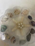 天然海螺貝殼套餐 標(biāo)本螺海星禮盒海洋生物科普幼兒園科教擺件 套餐三 曬單實(shí)拍圖