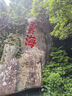 迪巧維D鈣咀嚼片60片中老年人青少年預防骨質(zhì)舒疏松腿抽筋腿疼巧迪兒 男女性otc鈣片補充維生素d:1盒裝 曬單實拍圖