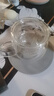 富光花茶杯 男女士茶水分離杯子 雙層辦公泡茶玻璃杯帶把高硼硅水杯 曬單實拍圖
