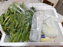 千牛優(yōu)福廣東菜心500g-1000g 農(nóng)家自種甜菜心菜薹廣東菜心當(dāng)季蔬菜 1000g 曬單實(shí)拍圖