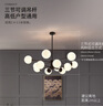 雷士（NVC）吊燈魔豆分子燈客廳臥室書房餐廳北歐創(chuàng)意現(xiàn)代12頭吊燈NGD12-1 曬單實(shí)拍圖