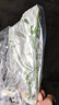 迷你九冠皇冠類新手水草好養(yǎng)耐活真水草活體植物鐵皇冠魚缸活植物 迷你皇冠5支（10厘米左右）送2個(gè)杯子 曬單實(shí)拍圖