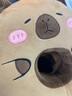 物枕居卡皮巴拉水豚午睡枕趴睡枕辦公室午休神器抱枕女生學(xué)生趴桌子睡覺 閉眼【小橘子】 30*35cm午睡枕 曬單實(shí)拍圖