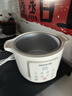 九陽(yáng)（Joyoung）【國(guó)家補(bǔ)貼】電燉鍋電砂鍋電燉盅燉湯盅煲湯鍋高溫瓷燕窩燉盅煮粥神器熬粥專用鍋3L大容量GD317 曬單實(shí)拍圖