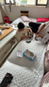 迪漫奇遙控機器狗兒童玩具男孩遙控手勢汽車變形機器人小朋友生日禮物 曬單實拍圖