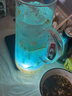 百瑞卡藍橙力嬌酒伏特加調酒基酒套裝組合洋酒雞尾酒紅石榴糖漿 【伏特加+藍橙力嬌酒】 曬單實(shí)拍圖