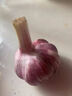 康田匯 陜西板栗紅薯蜜薯當(dāng)季新鮮蔬菜生鮮自然熟地瓜番薯果蔬整箱 精選凈重2.5-2斤新鮮現(xiàn)挖 新鮮水果 曬單實(shí)拍圖