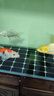 森森（SUNSUN）錦鯉魚飼料觀賞魚金魚飼料專用魚糧增色不渾水魚食錦鯉專用 綜合營養(yǎng)3mm中顆粒 5斤裝 曬單實(shí)拍圖