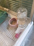 BIRDSTORY鸚鵡食盆陶瓷食盒鳥食碗和尚玄鳳防濺灑防打翻飲水喂食器用品大全 粉色小號【約6*6*4cm】 曬單實(shí)拍圖