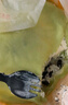 KINHISA巧克力千層蛋糕6英寸420g 動(dòng)物奶油下午茶零食甜品冷凍生日蛋糕 曬單實(shí)拍圖