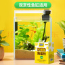 綠傘檸檬酸除垢劑 水垢清除劑 電水壺魚缸除水垢母嬰適用10g*24袋 曬單實拍圖