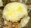 避風(fēng)塘糯米雞 510g （ 6個(gè) ）港式早茶點(diǎn)心速凍早餐食品面點(diǎn) 生鮮  曬單實(shí)拍圖