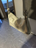 DISSONA迪桑娜回聲系列軟皮腋下包真皮hobo包女包單肩斜挎包女士包包 中號(hào)-白色（吊牌價(jià)：1998） 曬單實(shí)拍圖