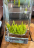 沁茗袍無(wú)錫太湖翠竹茶葉特產(chǎn)2025新茶正宗明前雀舌禮盒裝中秋送禮品 太湖翠竹禮盒裝400g(開(kāi)元頭采) 曬單實(shí)拍圖
