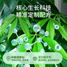 綠盼免稀釋發(fā)財樹(shù)營(yíng)養液葉子發(fā)黃掉葉爛根專(zhuān)用植物肥料 曬單實(shí)拍圖