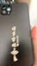 揚(yáng)聚特蘋果11ProMax手機(jī)殼Apple iPhone11ProMax新款保護(hù)套硅膠軟邊磨砂全包防摔5G高級(jí)感時(shí)尚外殼男女款 石墨黑【諸事皆順】 蘋果11ProMax 曬單實(shí)拍圖