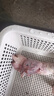 白蕩里安徽發(fā)貨 生鮮雞肉 黃油老母雞 凈含量2斤*2只 源頭直發(fā) 曬單實(shí)拍圖