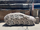 羊公主新長(cháng)安cs75cs35cs55逸動(dòng)xt悅翔v7車(chē)衣車(chē)罩防曬防雨防雪防凍通用 數碼迷彩牛津加厚加密碼鎖 CS75 曬單實(shí)拍圖