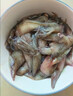 野生海捕 筆管魚 小魷魚小海兔速凍鎖鮮現(xiàn)捕新鮮海鮮 大公野生筆管魚 200g(凈重)  /包 1包 曬單實(shí)拍圖