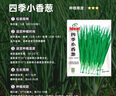IDEAL理想農(nóng)業(yè) 四季小香蔥種子陽臺(tái)盆栽種植蔬菜種籽小蔥種子 約1500粒 曬單實(shí)拍圖