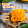 京鮮生 攀枝花凱特芒果 凈重4.5斤 單果300g+ 生鮮水果源頭直發(fā) 曬單實拍圖