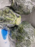 京詩(shī)悅新鮮現摘西蘭花青?；ㄒ宋魉{花西餐沙拉輕食當季農家新鮮蔬菜 5精選裝 曬單實(shí)拍圖