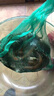 黃鱔藥擒鱔王誘釣黃鱔野釣魚(yú)添加濃縮誘食劑泥鰍小藥黑坑野釣魚(yú)餌 擒鱔王【3瓶】千里黃鱔來(lái) 曬單實(shí)拍圖