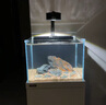 樂迪魚缸燈72W爆藻燈原生態(tài)溪流缸燈金魚出苔 NX扁燈  黑色50W【旋鈕調(diào)光】 曬單實拍圖