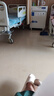 八海鳥2個裝經(jīng)絡拍硅膠痧板拍棒捶背敲打器錘肩神器頸椎按摩養(yǎng)生專用 曬單實拍圖