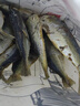 閩臻巴浪魚干福建巴浪熟魚干特產(chǎn)干貨500g海魚海鮮咸魚干小魚干粉干魚 巴浪魚干簡裝500g（去頭去內(nèi)臟） 曬單實拍圖